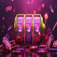 win77